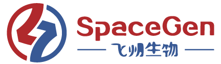 SpaceGen